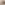 https://www.rijndam.nl/assets/uploads/images/medewerkers/Profielfoto-Dorinde_Oster_RA_vlp__vierkant.png